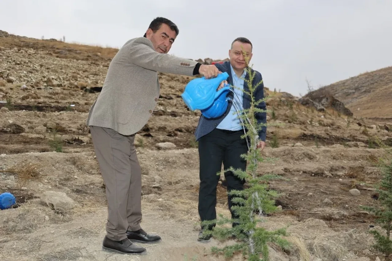 Kayseri'nin Bünyan ilçesinde milli ağaçlandırma gününde fidanlar toprakla buluştu