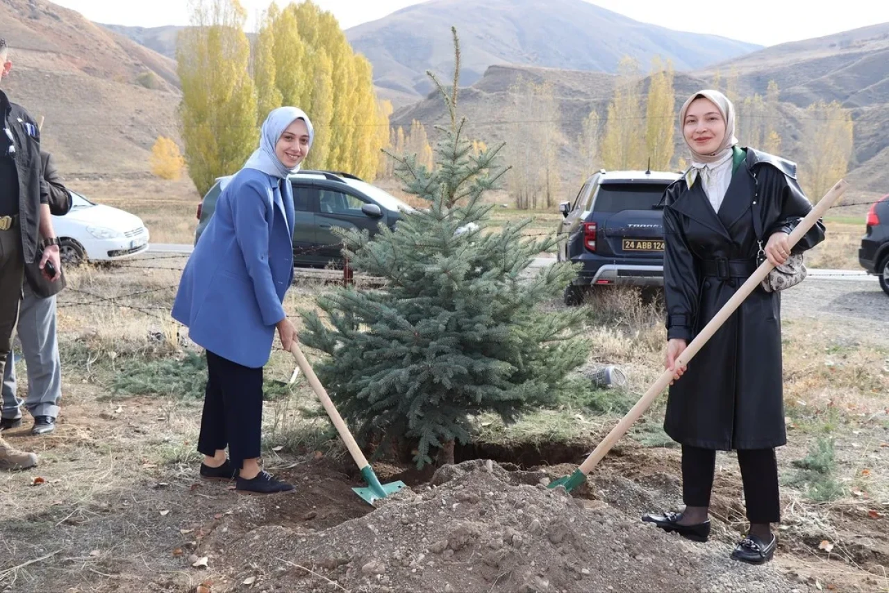 Tercan’da 11 Kasım Milli Ağaçlandırma Günü için fidan dikim etkinliği düzenlendi