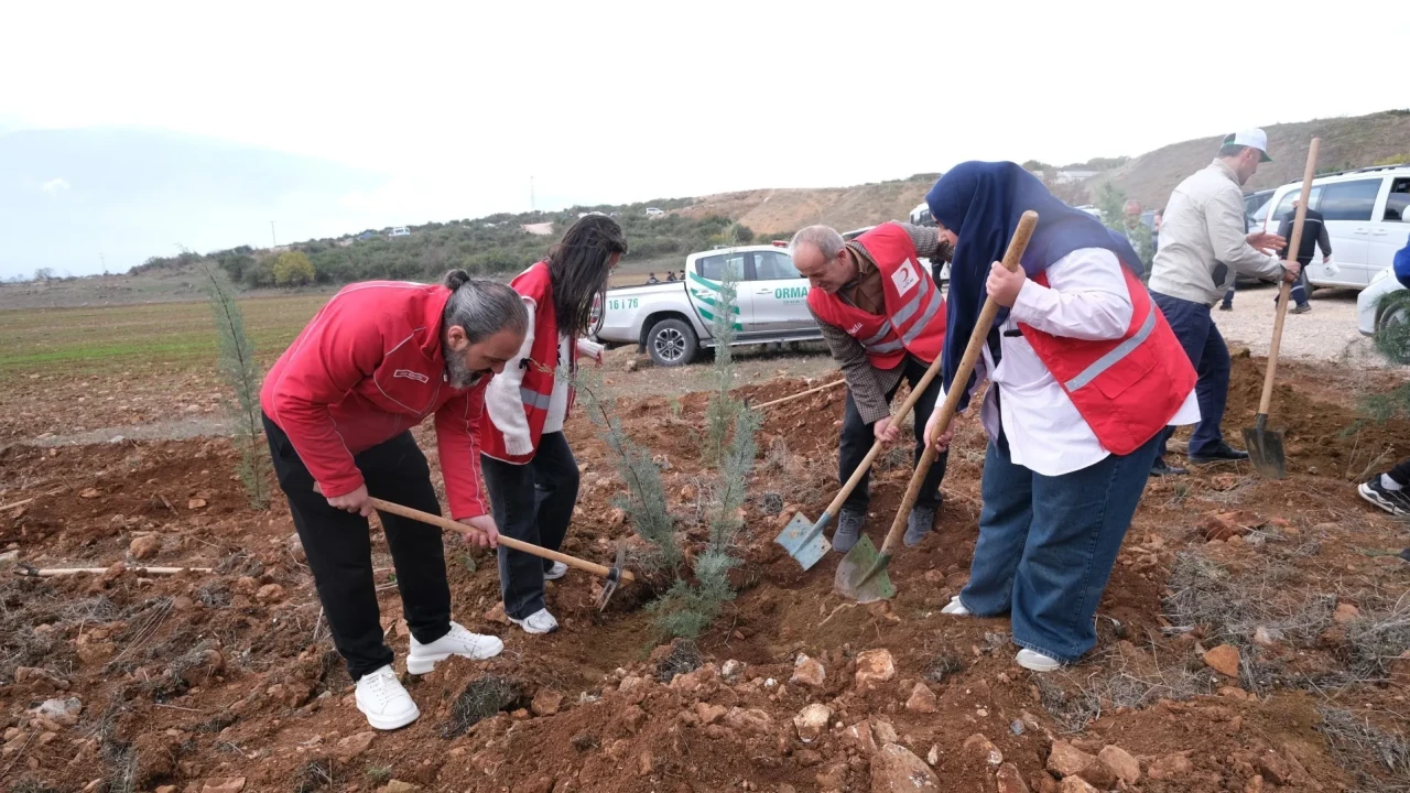 İnegöl’de milli ağaçlandırma seferberliği kapsamında binlerce fidan toprakla buluştu