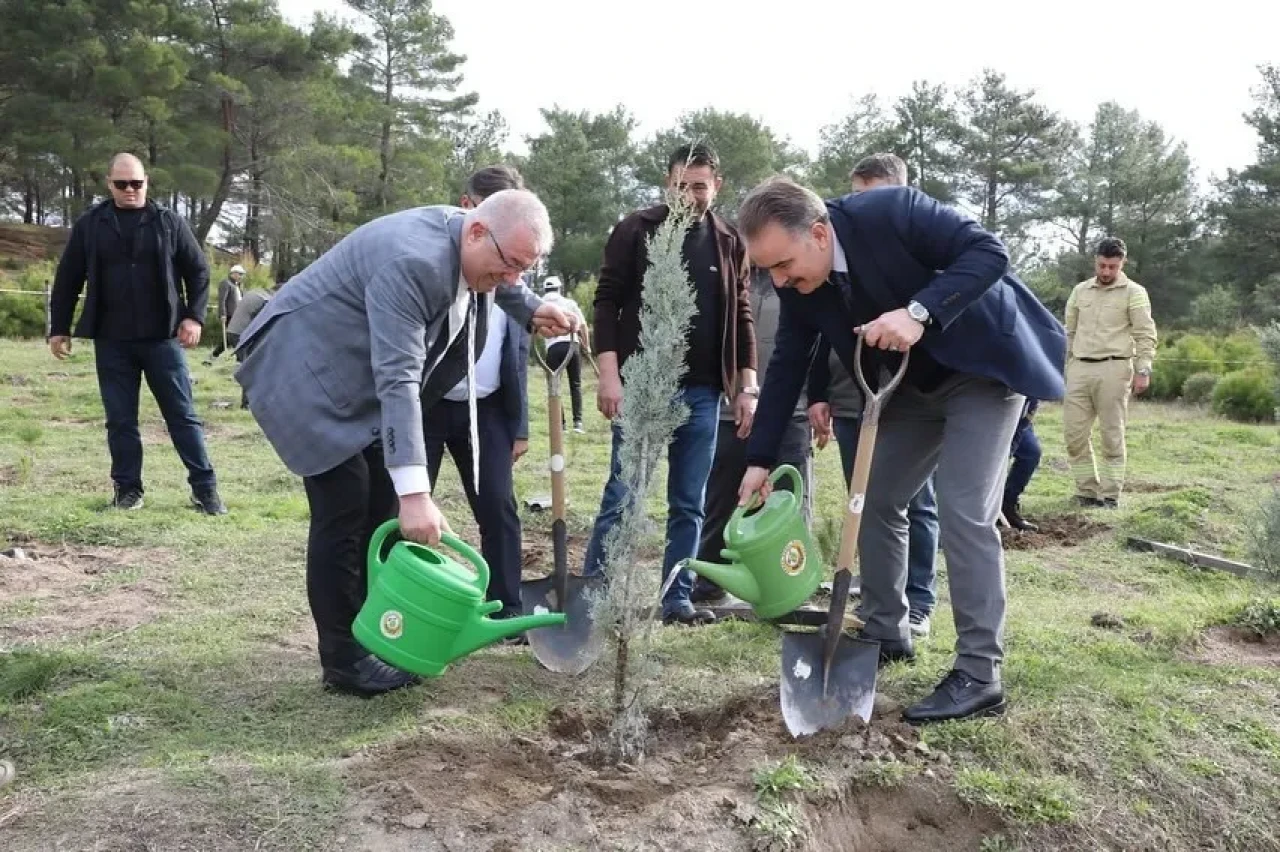 Edremit'te ertelenen fidan dikim etkinliği bugün gerçekleştirildi