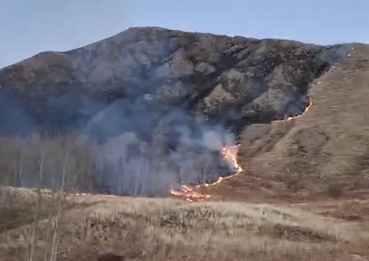 Oltu’da Süleymanlı Mahallesi’nde çıkan örtü yangını kontrol altına alındı