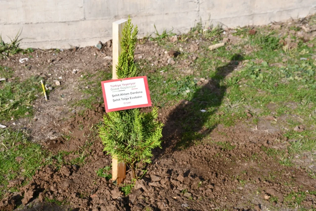 Vezirköprü’de Gazze ve şehitler anısına fidan dikme etkinliği düzenlendi