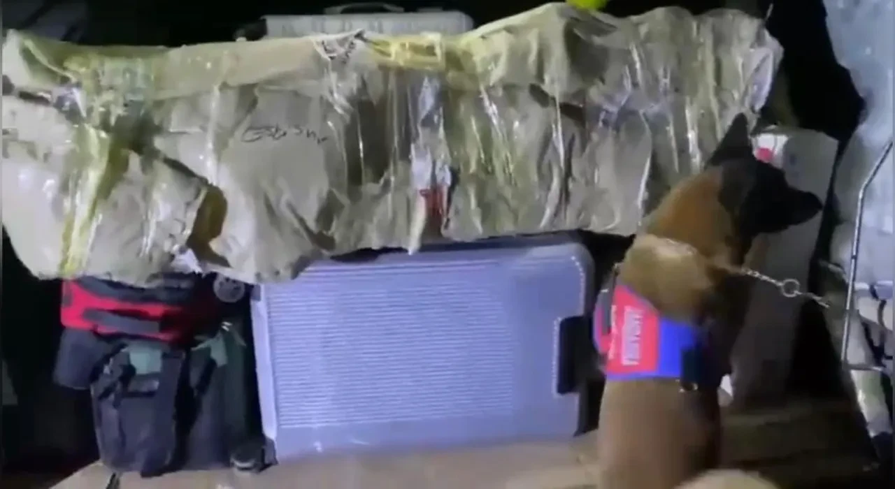 Osmaniye'de yolcu otobüsünde bal kabağına gizlenmiş 706 gram skunk ele geçirildi