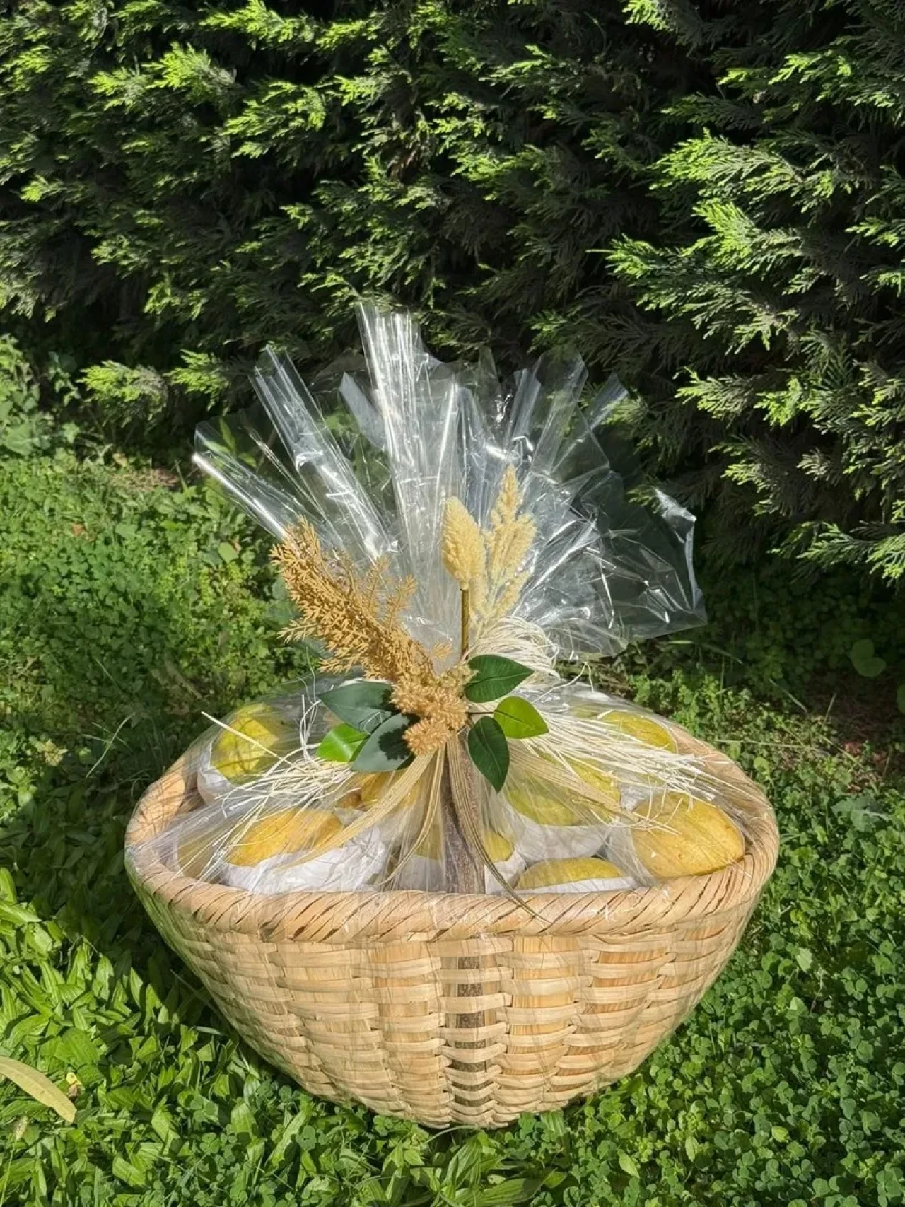 papa 14. Leo’ya Bursa’dan coğrafi işaretli ürünler ve minyatür hediye edildi