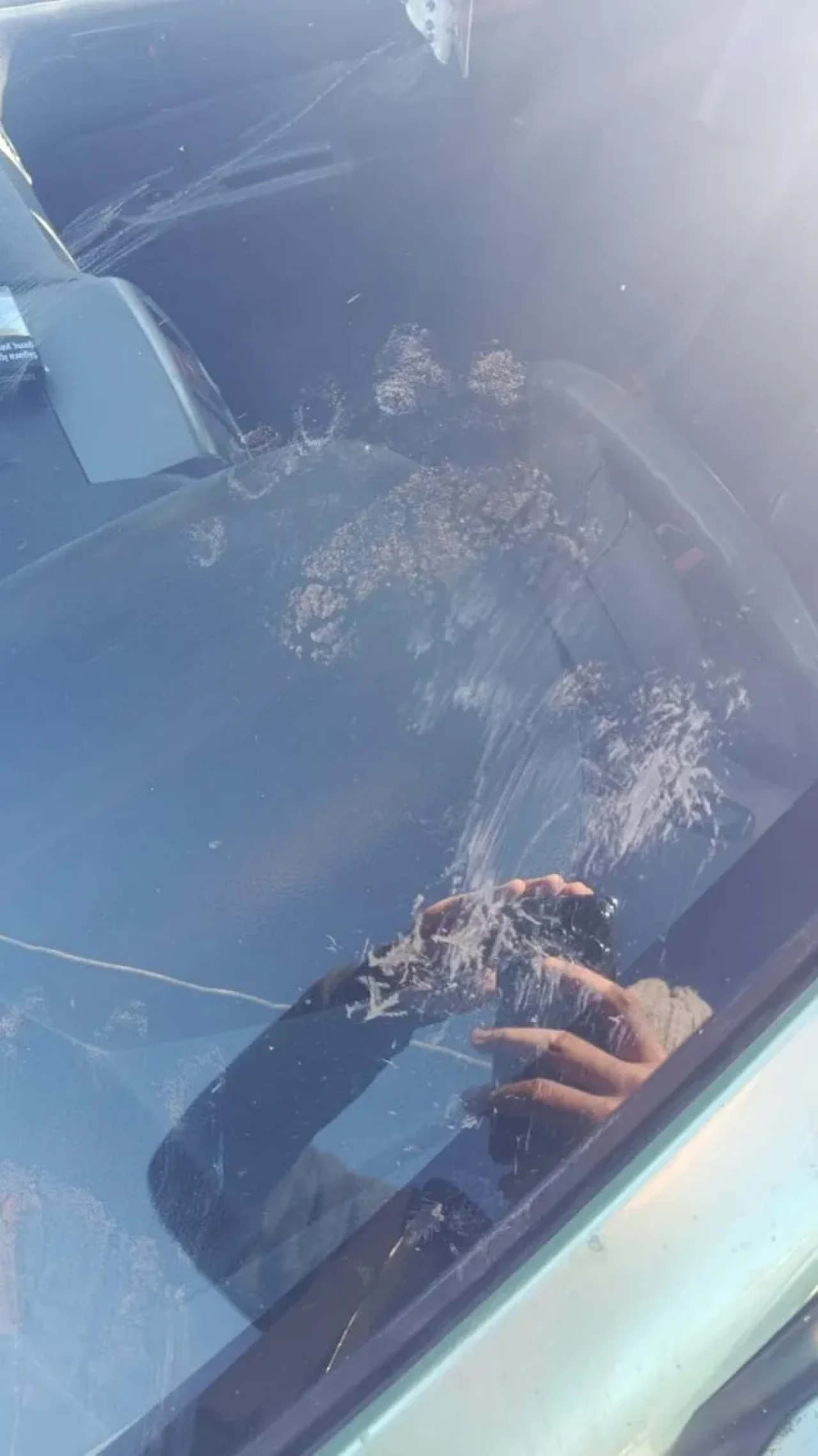 Gümüşhane’de ayı park halindeki otomobile saldırdı