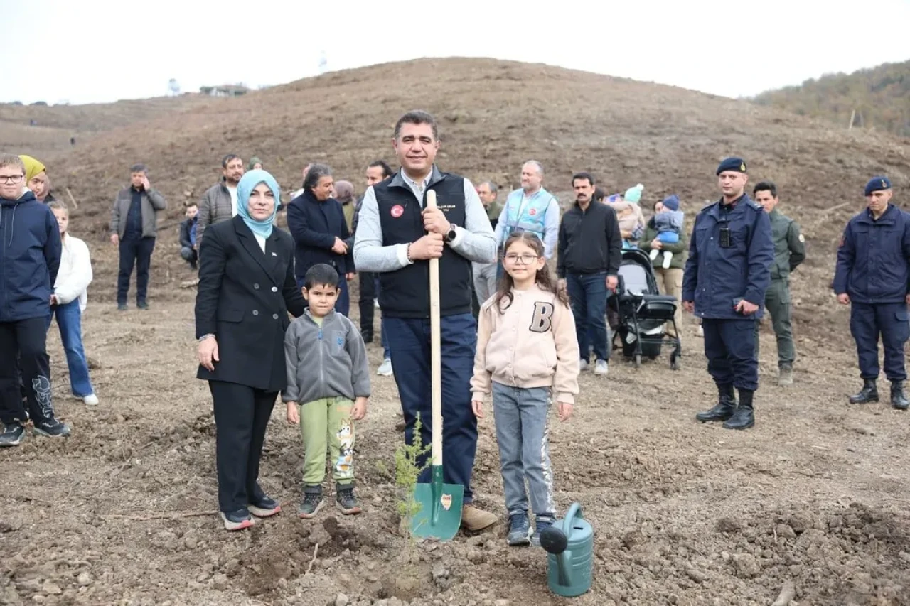 Düzce'de öğretmenler 24 Kasım anısına bin fidan dikerek hatıra ormanı oluşturdu