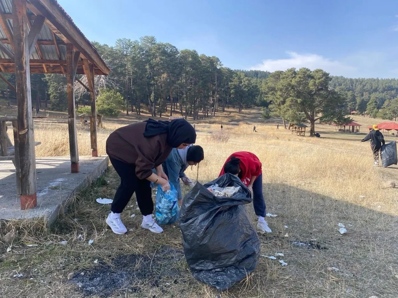 Sarıkamış'ta üniversite öğrencileri ormanlık alandan 100 poşet çöp topladı