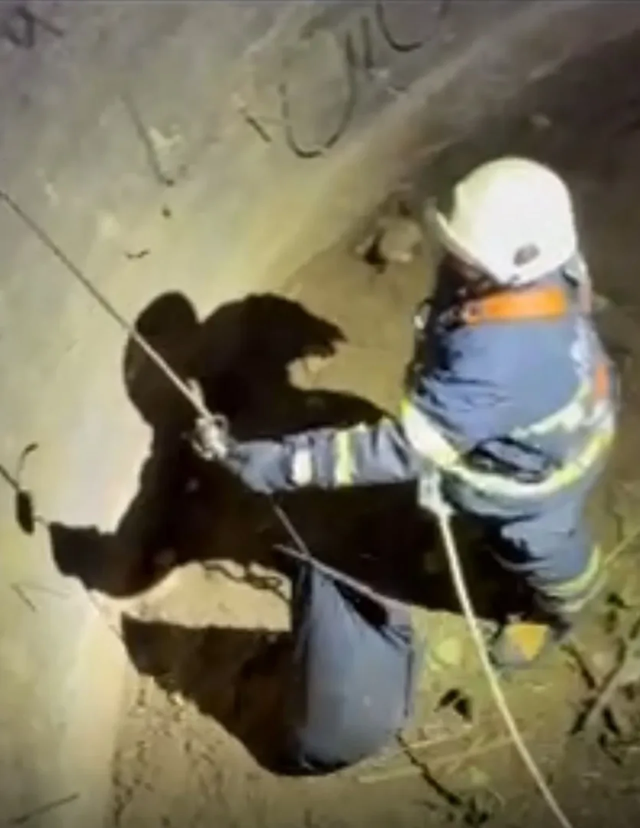 Batman'da su kuyusuna düşen çakal itfaiye ekipleri tarafından kurtarıldı