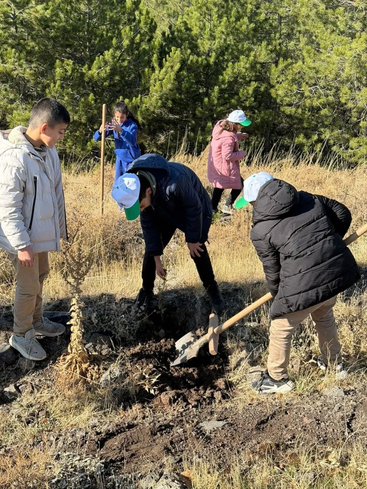 Elazığ'ın Sivrice ilçesinde "Yeşil Vatan" temalı fidan dikme etkinliği düzenlendi