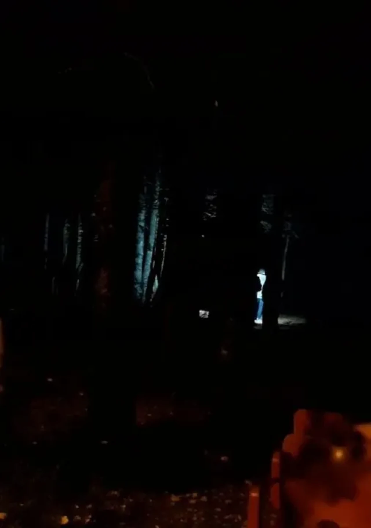 Bursa'da Uludağ'da kaybolan 4 çocuk 5 saatlik arama sonrası bulunarak ailelerine teslim edildi