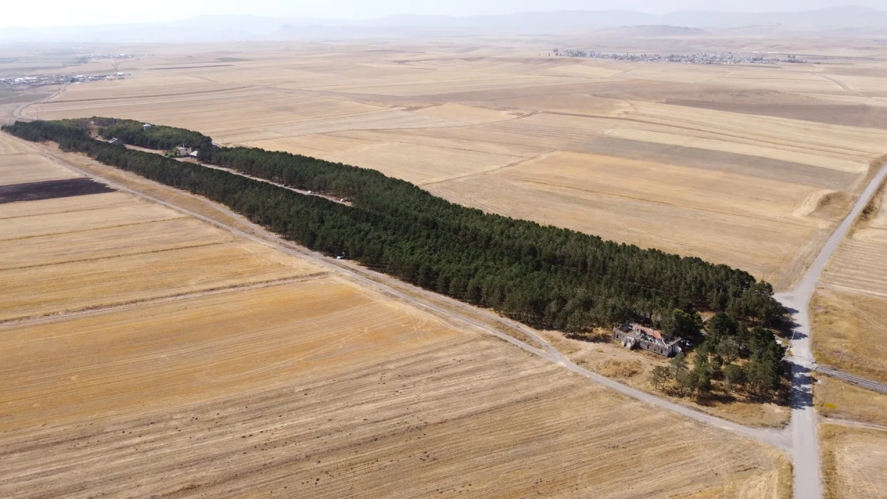 Kars’ta Benliahmet Tren İstasyonu bozkırın ortasındaki vaha olarak dikkat çekiyor