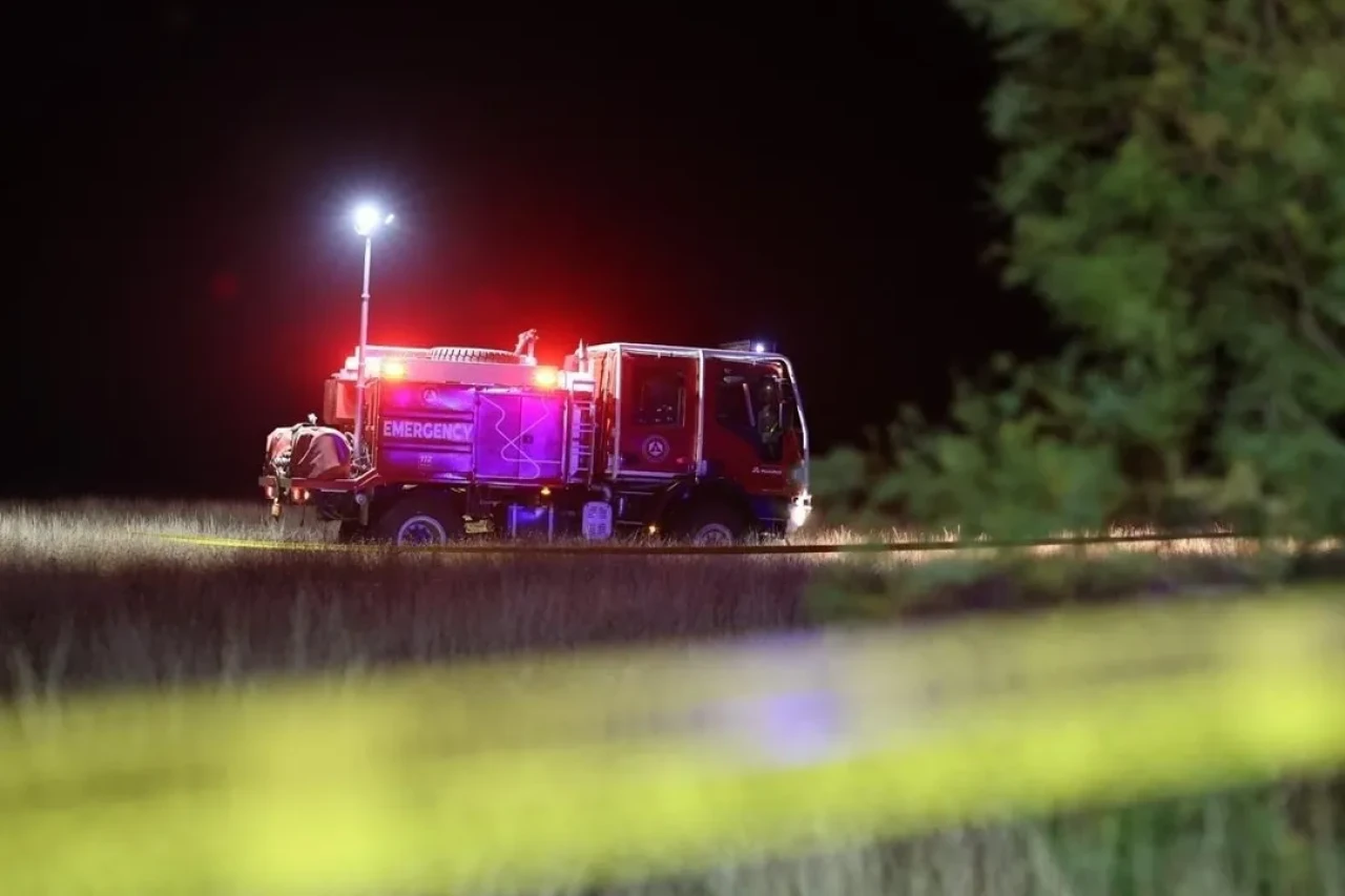 Gürcistan İçişleri Bakanı Geladze askeri kargo uçağının düştüğü bölgede inceleme yaptı