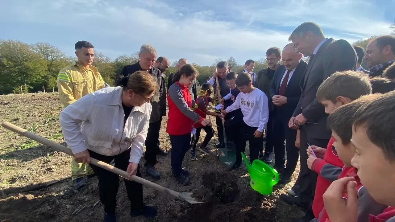 Sinop'ta 11 Kasım Milli Ağaçlandırma Günü kapsamında 3 bin 860 fidan dikildi