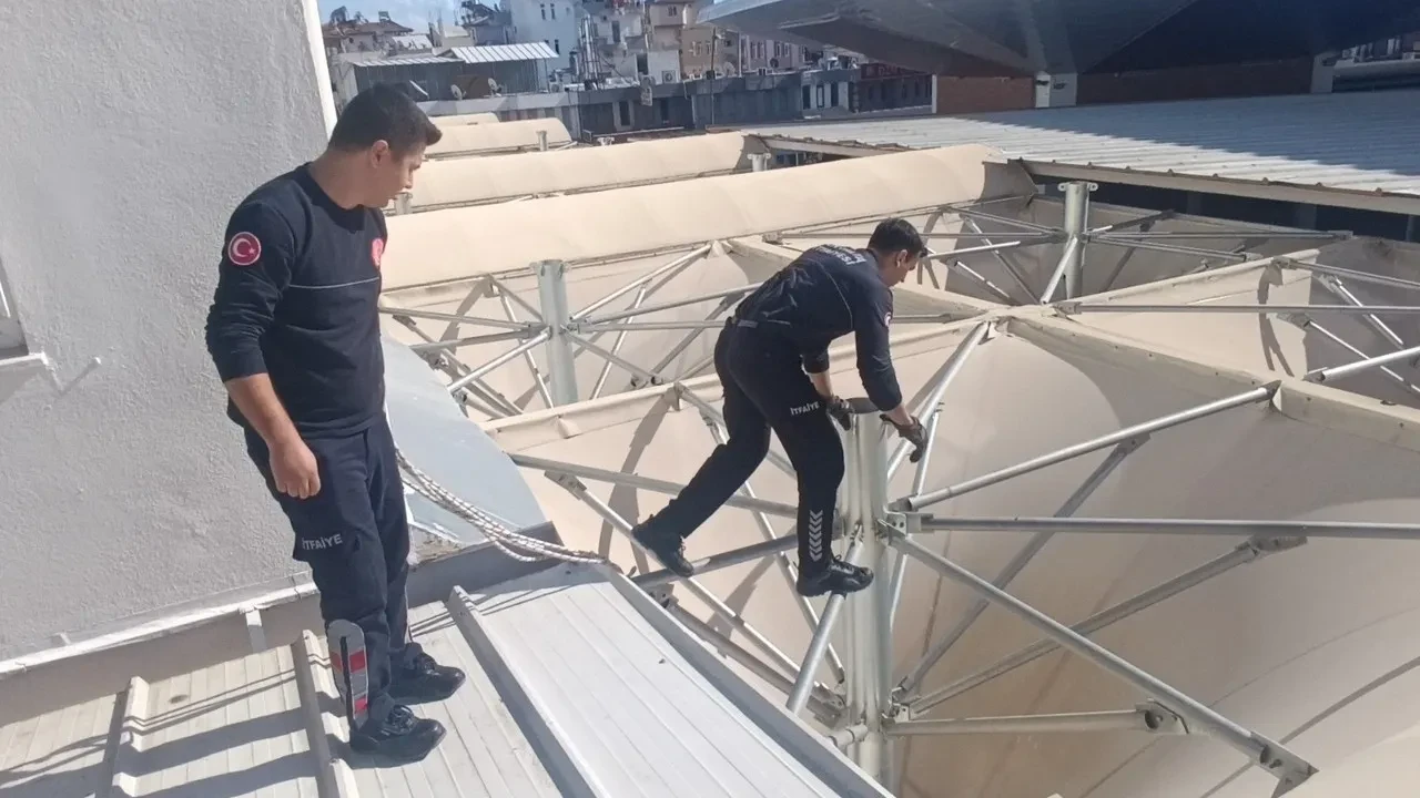 Antalya'nın Manavgat ilçesinde pazar yerinin çatısında mahsur kalan kedi itfaiye ekipleri tarafından kurtarıldı