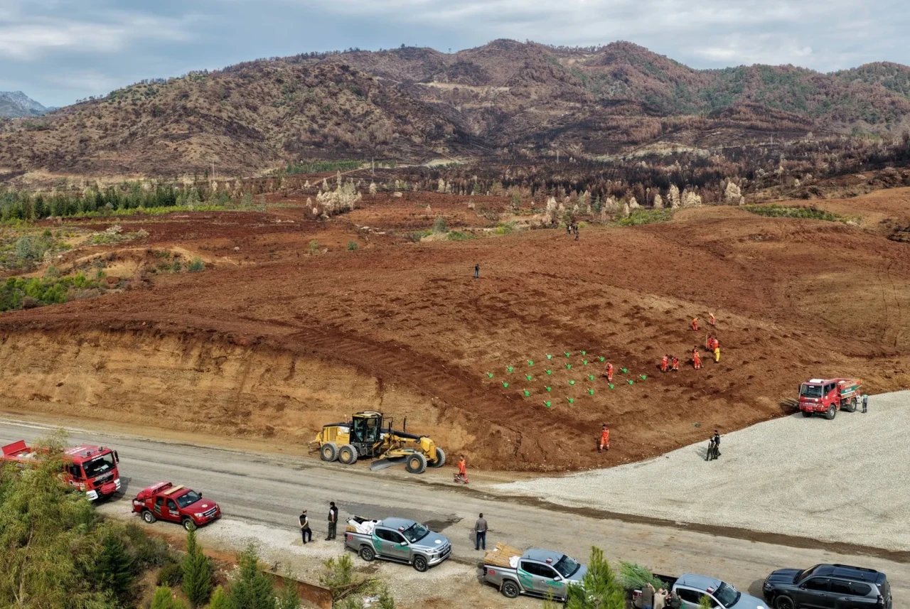 Muğla'da Yeşil Vatan seferberliği için fidan dikim etkinlikleri başlıyor