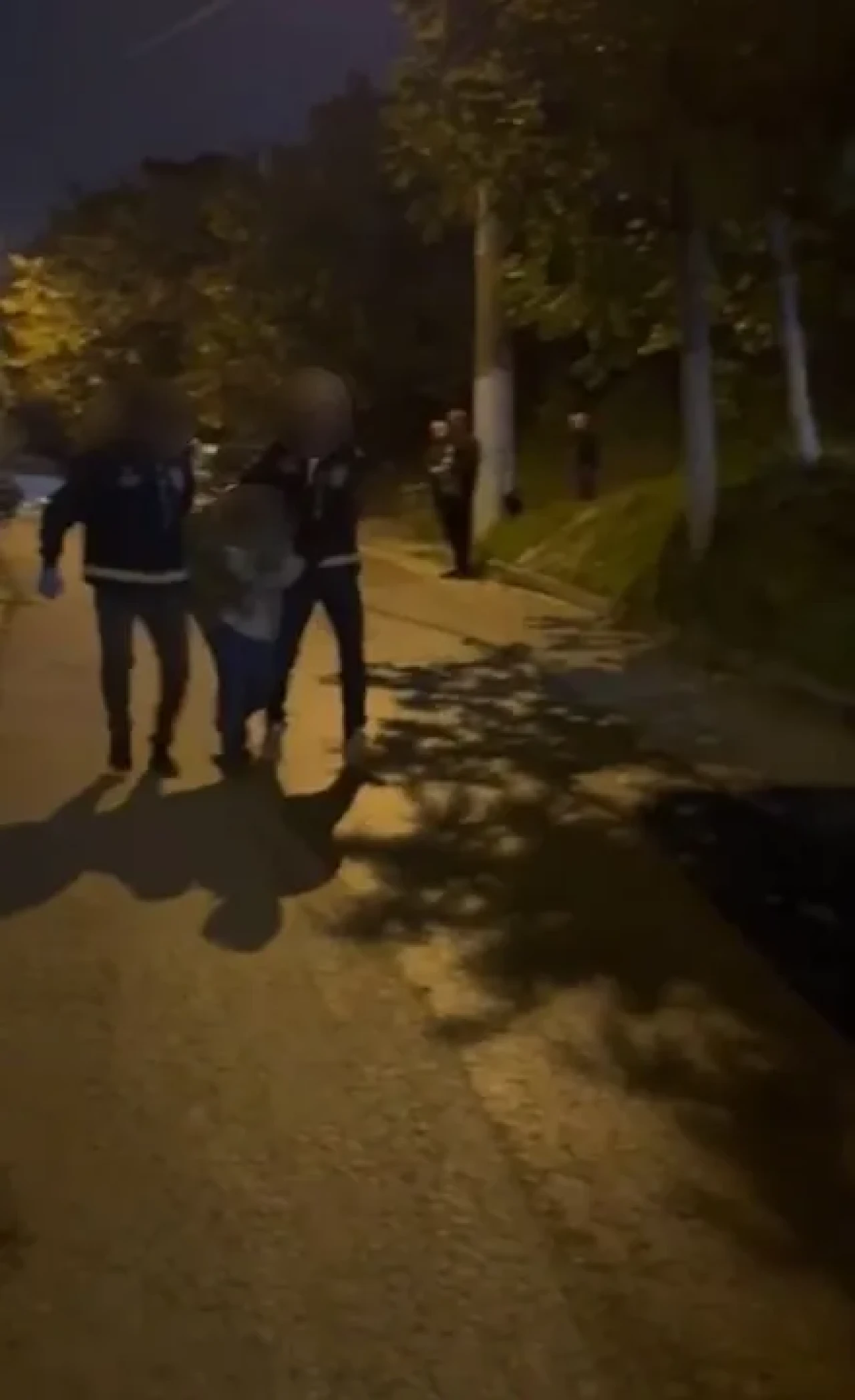 Yalova'da 100 bin dolar dolandıran zanlı polis operasyonuyla yakalandı ve tutuklandı