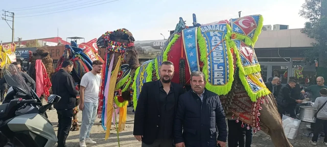 Çan’da deve güreşi sezonu havut giydirme töreniyle başladı