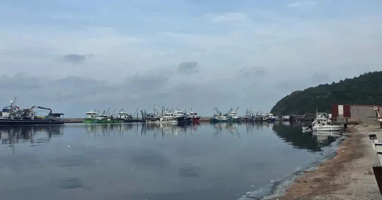 Sinop'ta hamsi avcılığında sürdürülebilirlik için denetimler artırıldı