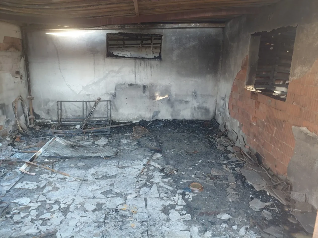 İzmir'in Menemen ilçesinde çıkan yangında bir kişi ve 20'den fazla kedi hayatını kaybetti