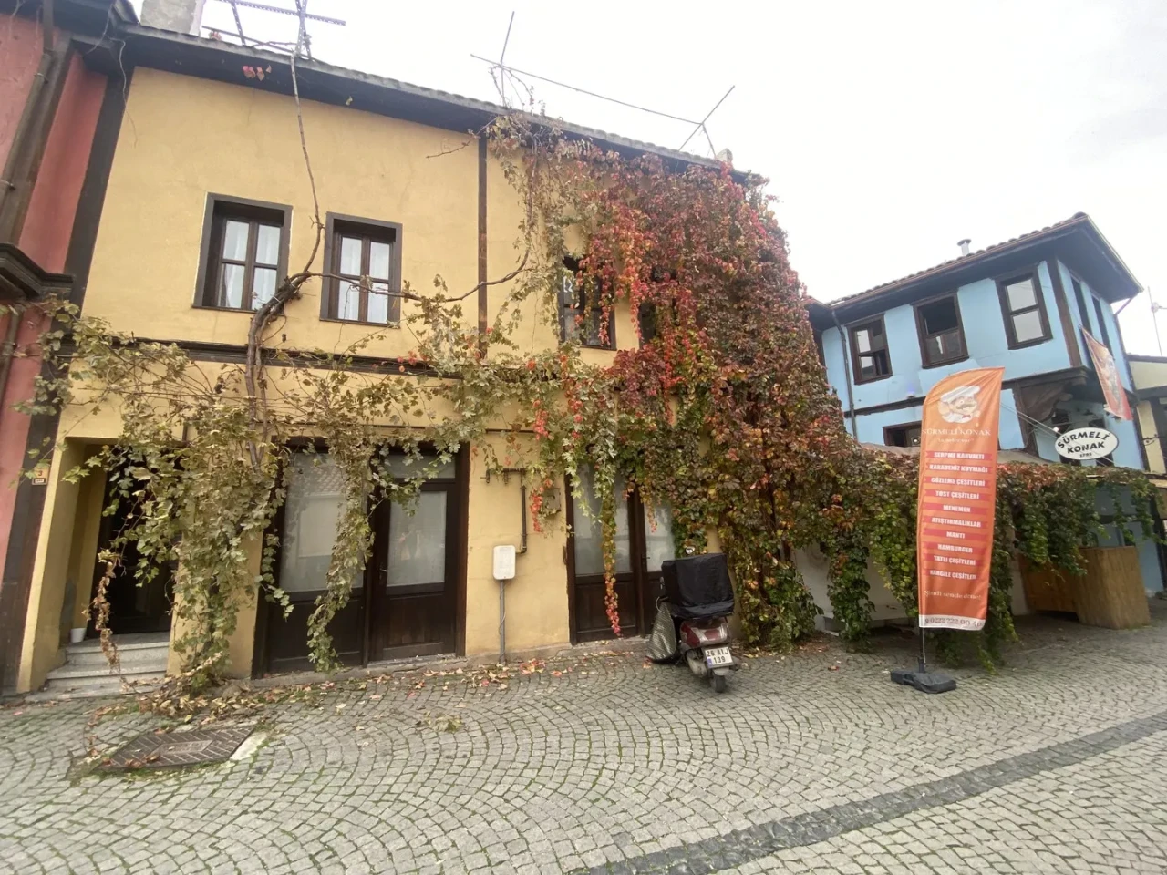 Eskişehir'de bitkilerle kaplı tarihi yapı kartpostallık manzara oluşturuyor.