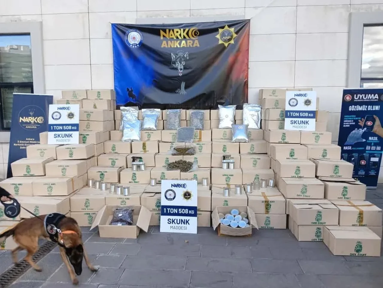 Ankara'da Tayland'dan getirilen 1,5 ton skunk ele geçirildi