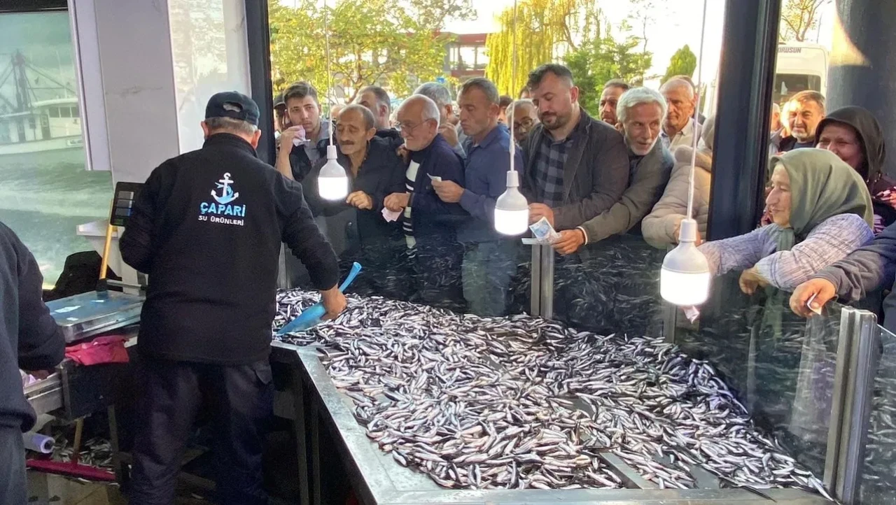Hopa'da kilosu 20 liradan satılan 3 ton hamsi 2 saatte tükendi