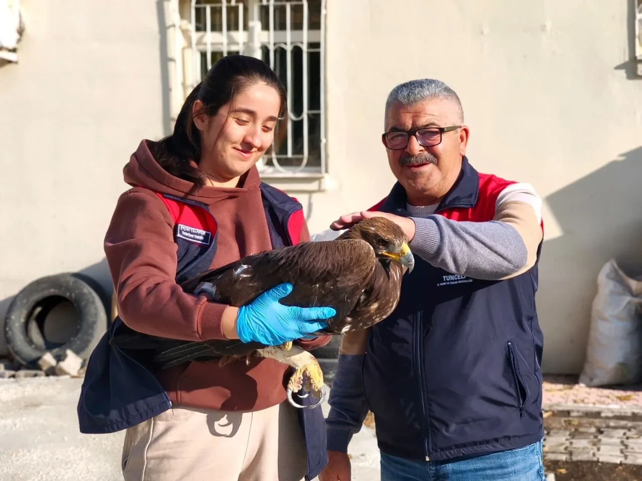 Tunceli'de yaralı halde bulunan kartal tedavi altına alındı
