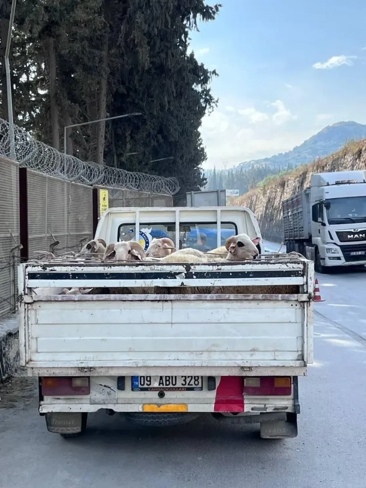 Aydın’da Hayvan Hastalıklarıyla Mücadele Için Yol Kontrolleri Sürüyor