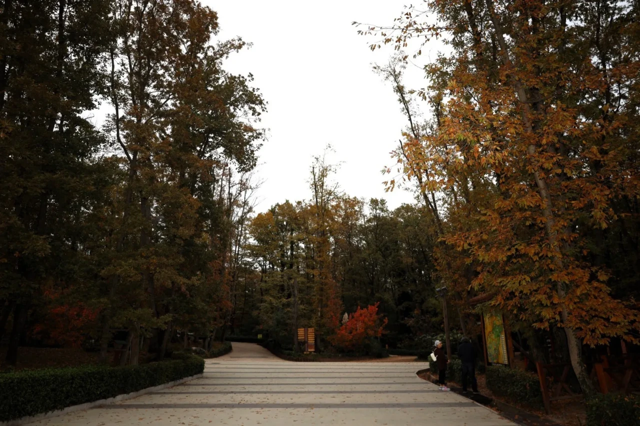 Ormanya Doğal Yaşam Parkı sonbahar renkleriyle ziyaretçilerini ağırlıyor