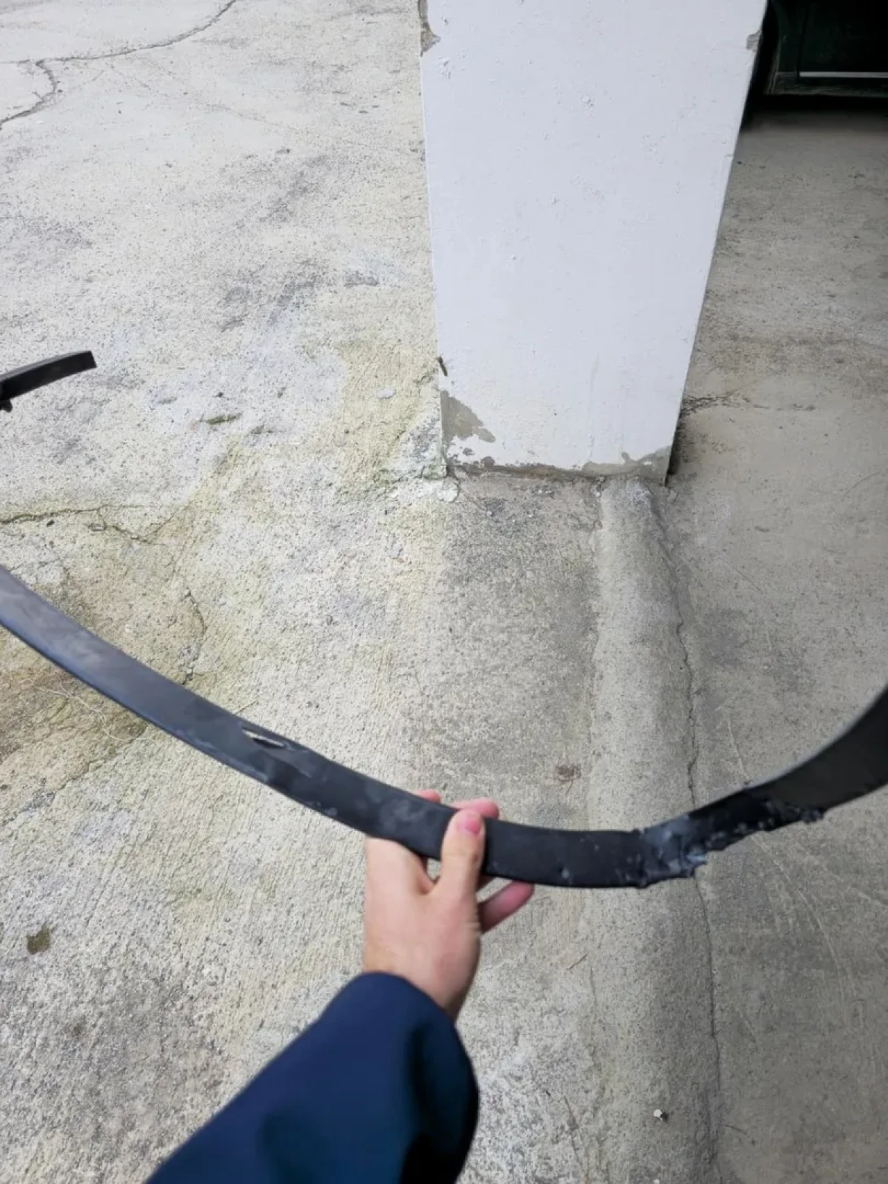 Kastamonu'da sokak köpekleri park halindeki aracın plastik parçalarını parçaladı