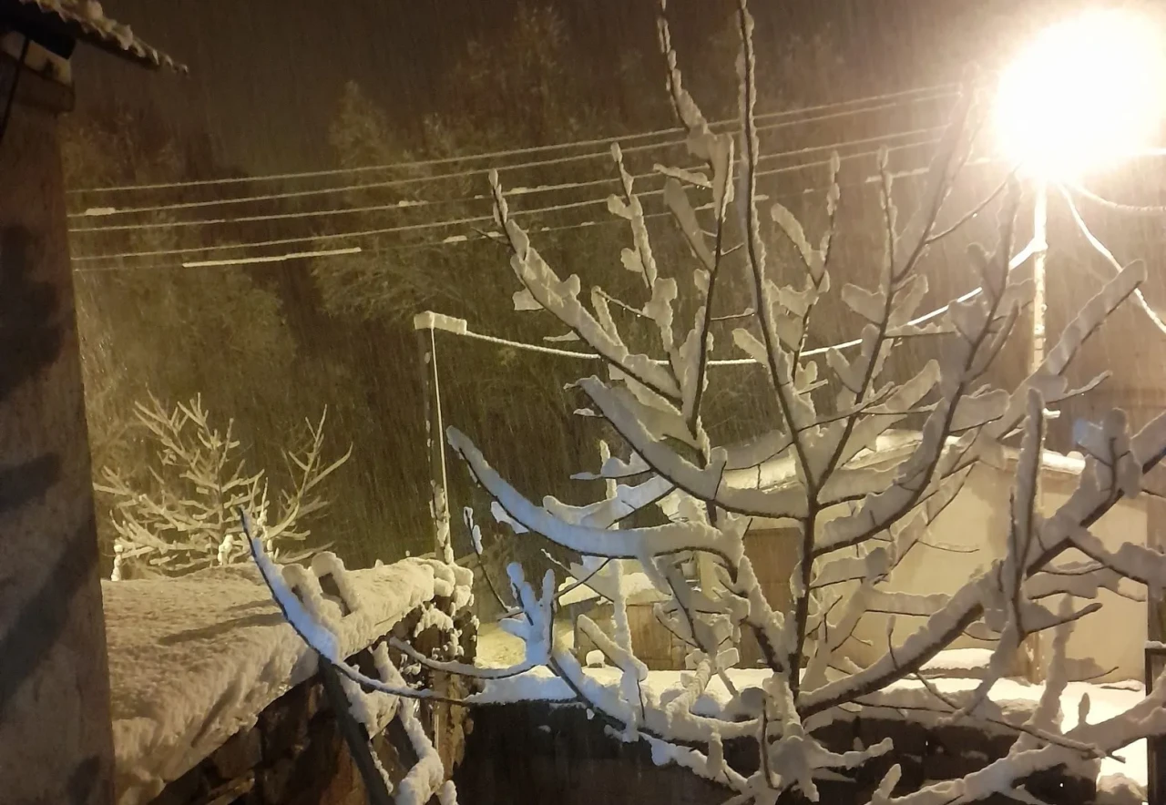 Ahlat’ta yüksek kesimlerdeki köyler kar yağışıyla beyaza büründü