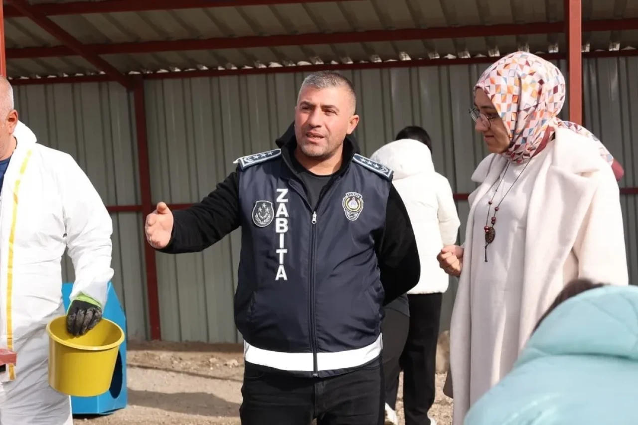 Bünyan’da öğrenciler sokak hayvanları için doğal yaşam alanını ziyaret etti