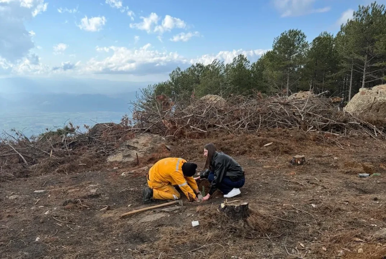 Kırşehir'den gelen üniversite öğrencileri Çine'de fidan dikti