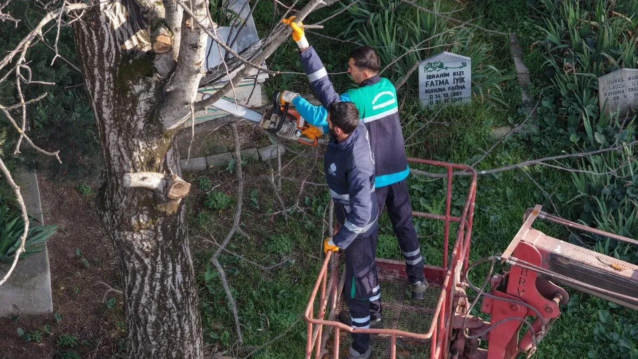 Başiskele'de budanan ağaç dalları ihtiyaç sahiplerine yakacak olarak dağıtılıyor