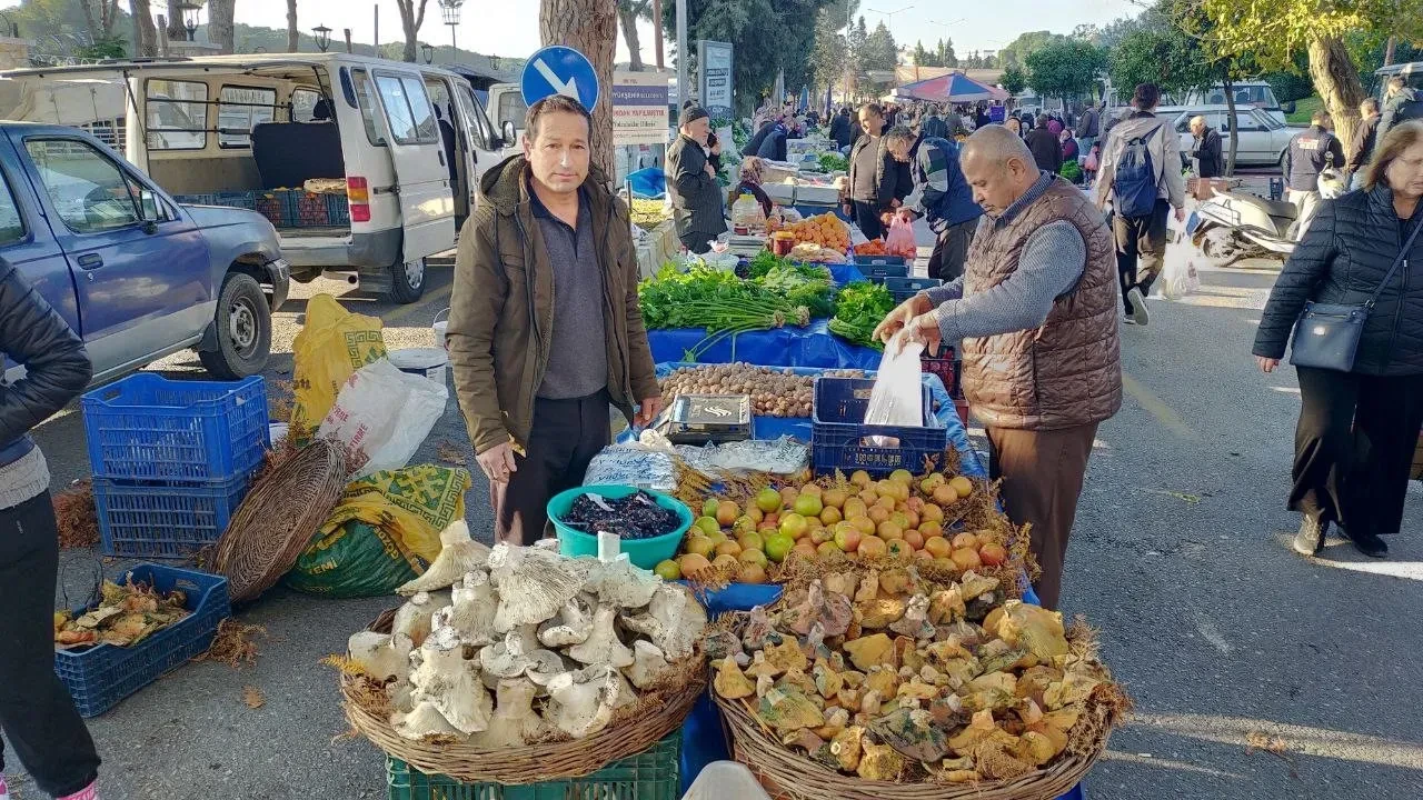 Aydın'da pazarda dev mantarlar ilgi odağı oldu - Son Dakika
