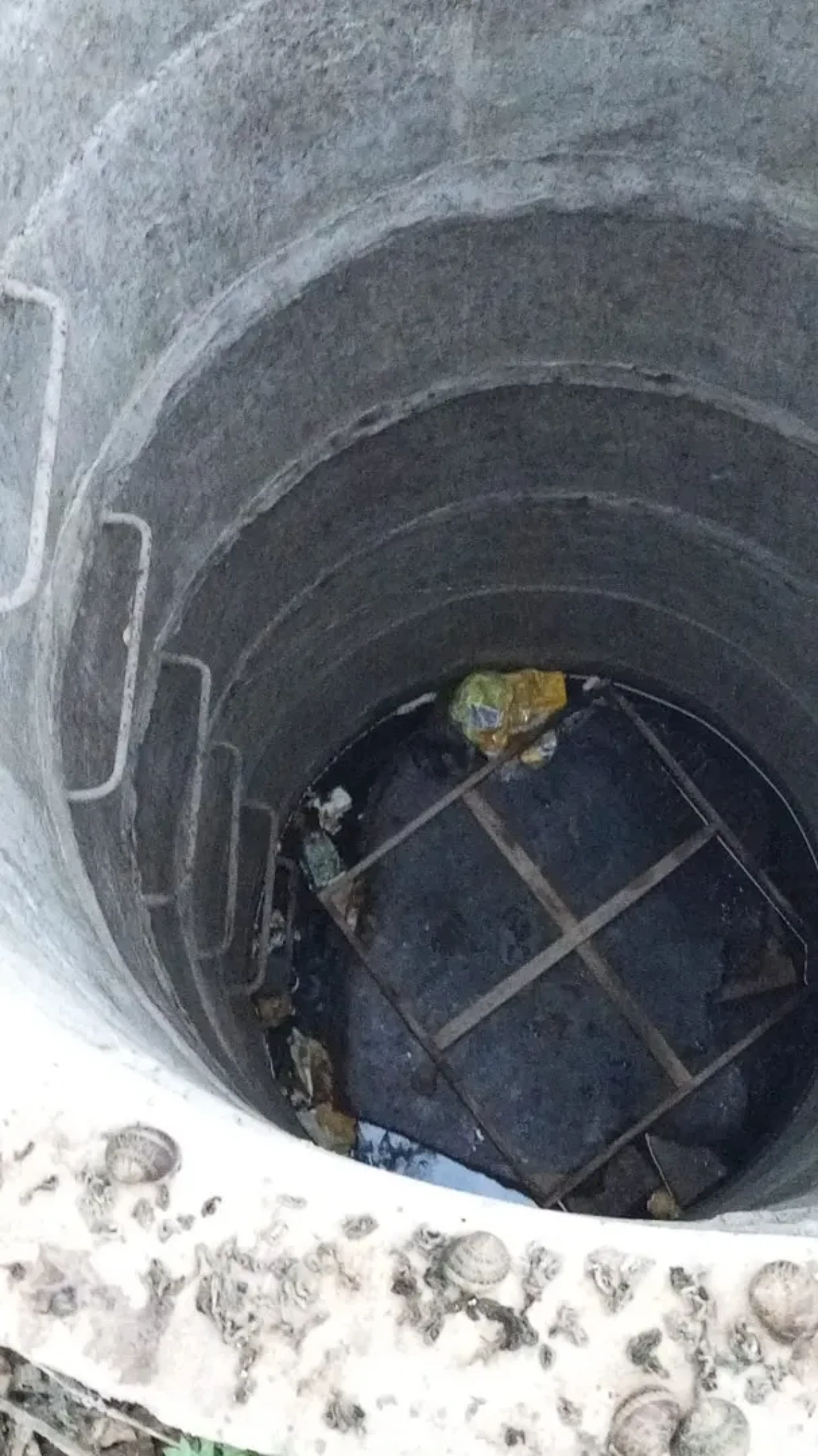 Antakya’da su kuyusuna düşen yavru kedi itfaiye tarafından kurtarıldı