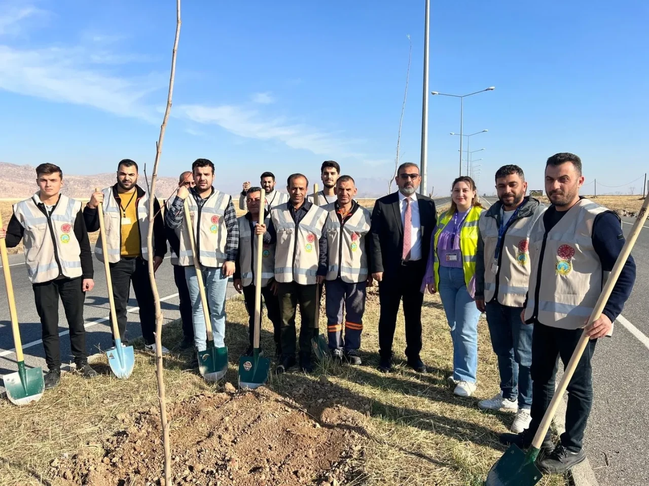 cizre’de havalimanı yolu 450 fidan ile yeşilleniyor