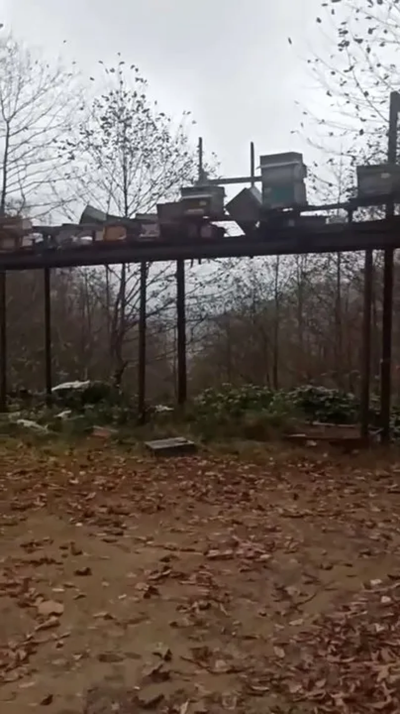 Rize’de ayıların kovanlara saldırısına demir profilli tezgah da çare olmadı