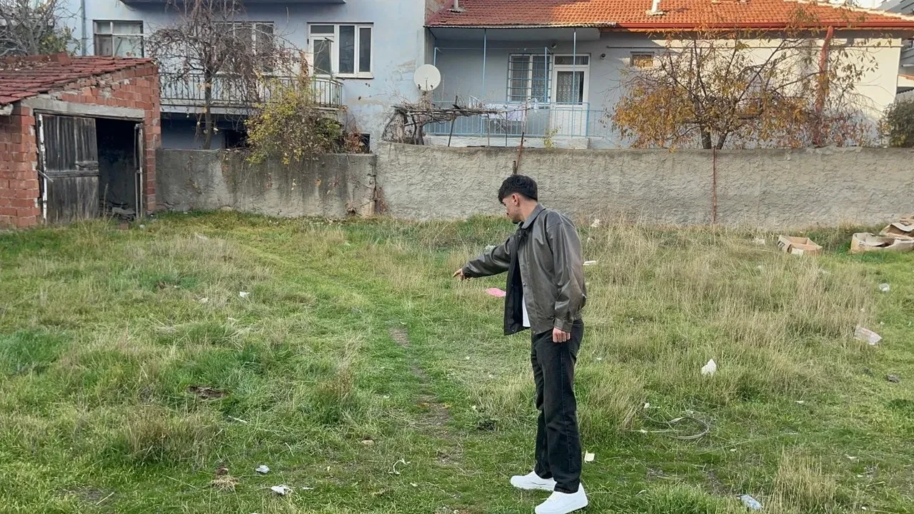 Eskişehir’de boş arsada 8 ölü kedinin şüpheli ölümleri araştırılıyor
