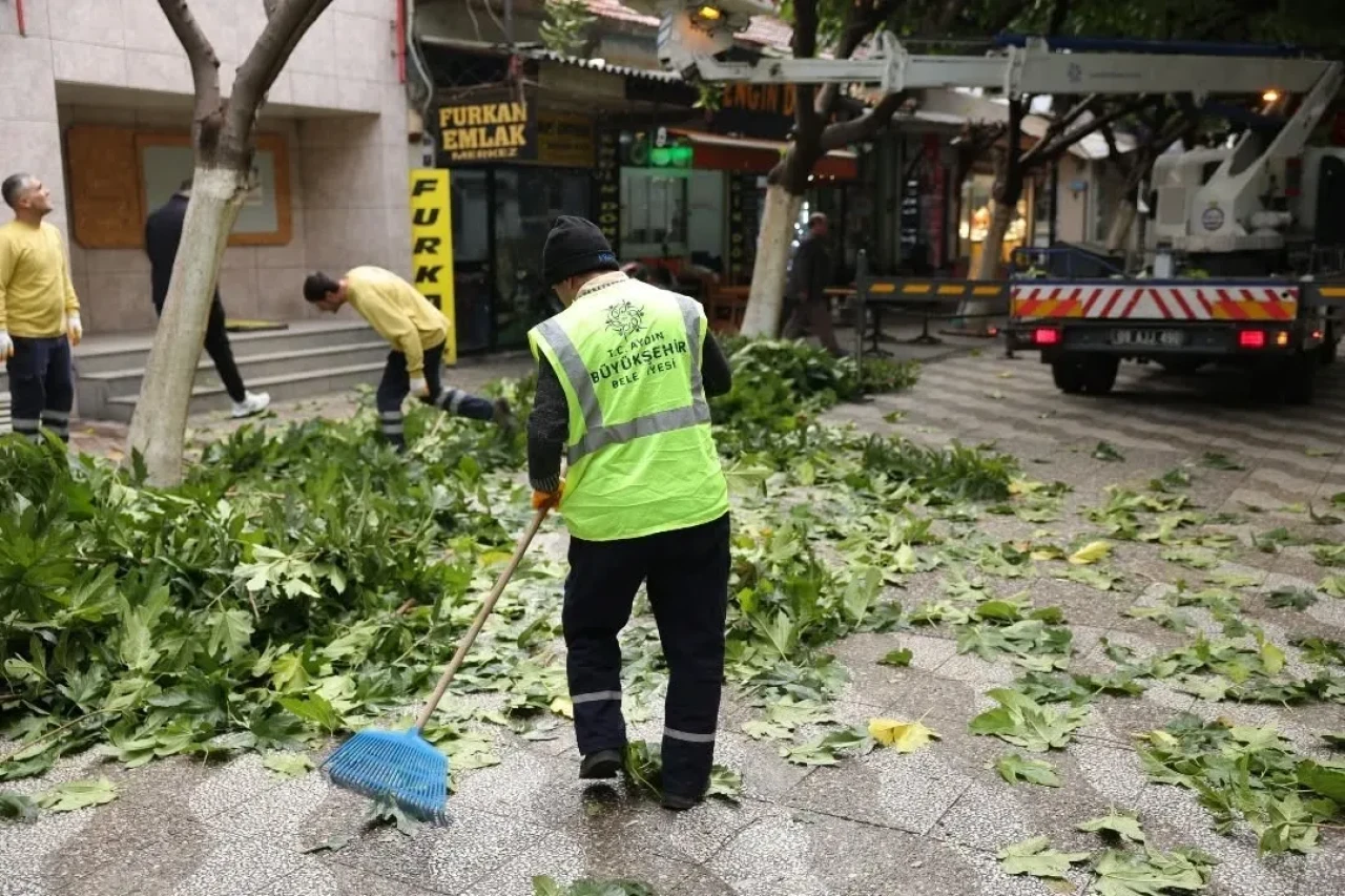 İncirliova'da sevgi yolu'ndaki ağaçlara bakım yapıldı ve çevre temizliği gerçekleştirildi