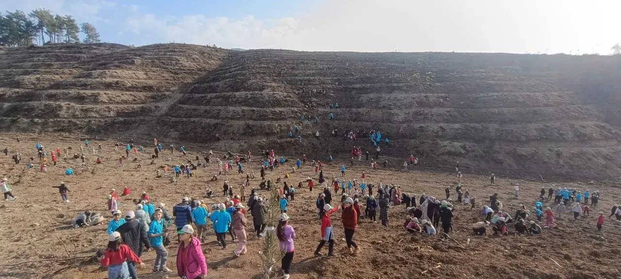 Adana'nın Kozan ilçesinde öğrenciler orman yangınında zarar gören alana fidan dikti