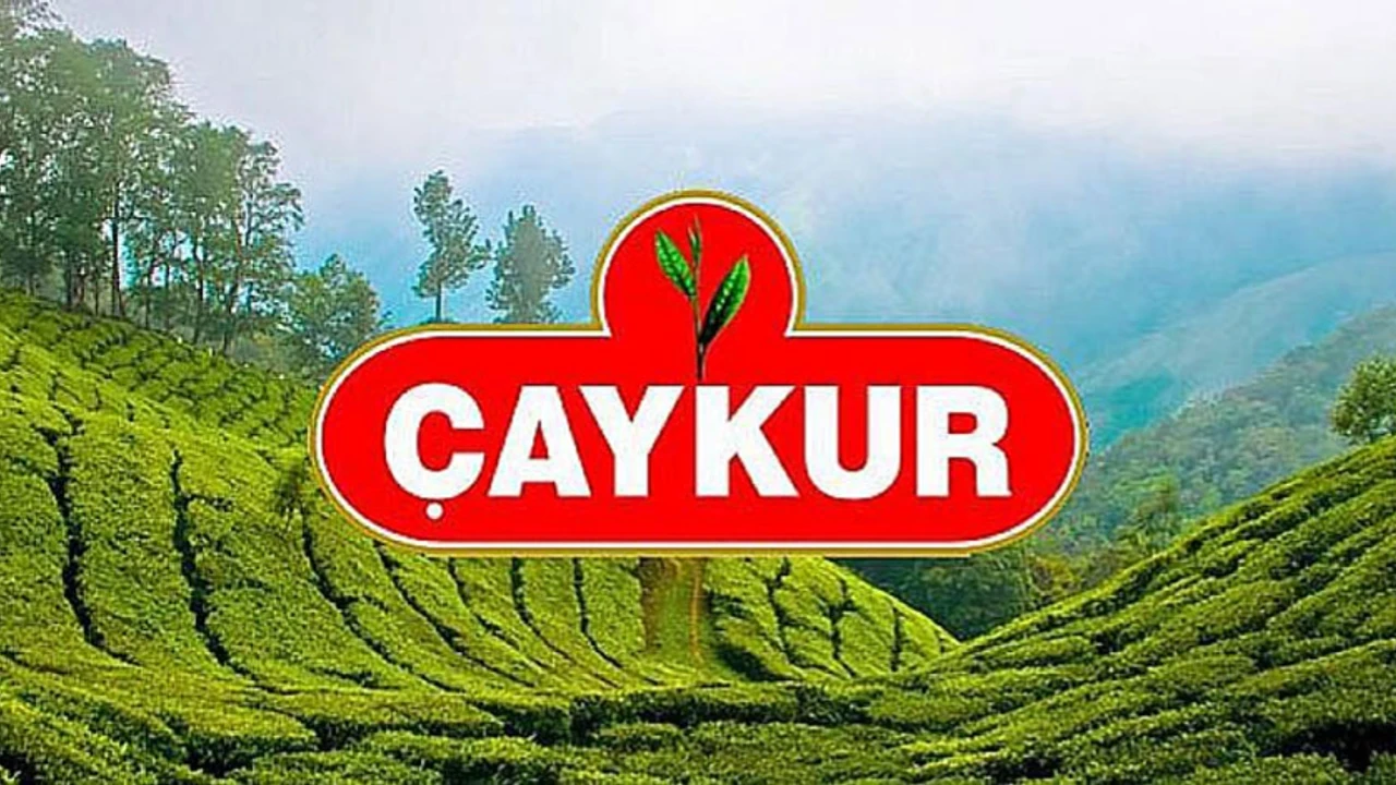 ÇAYKUR 1500 mevsimlik işçi Alımı yapacak: Başvuru şartları açıklandı