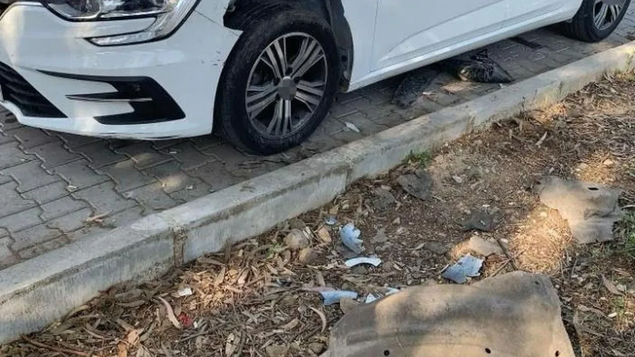 Fethiye'de domuzlar Salı Pazarı'nda araçları hedef aldı: Otomobil sahibi şokta