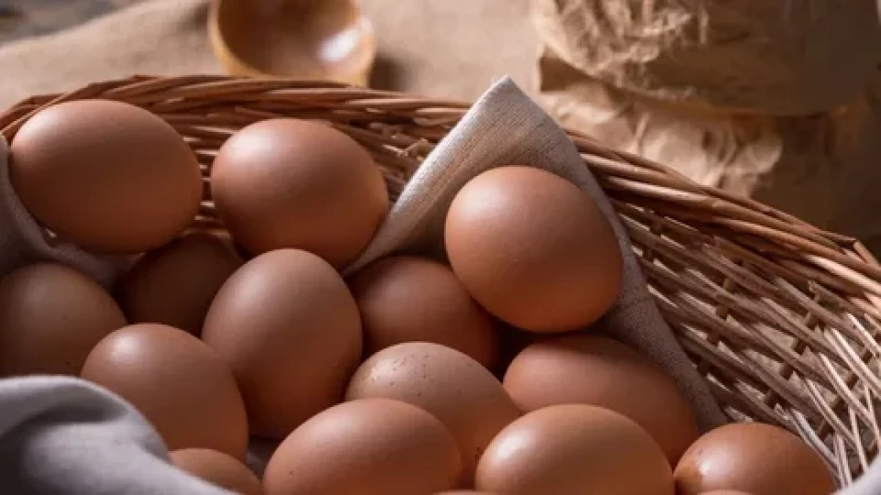 Yumurtalarda değişim başlıyor: Kahverengi yumurtalar marketlerden çekiliyor