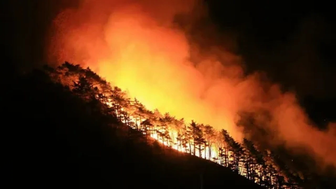 Güney Kore'de orman yangınları felakete yol açtı: Binlerce kişi tahliye edildi