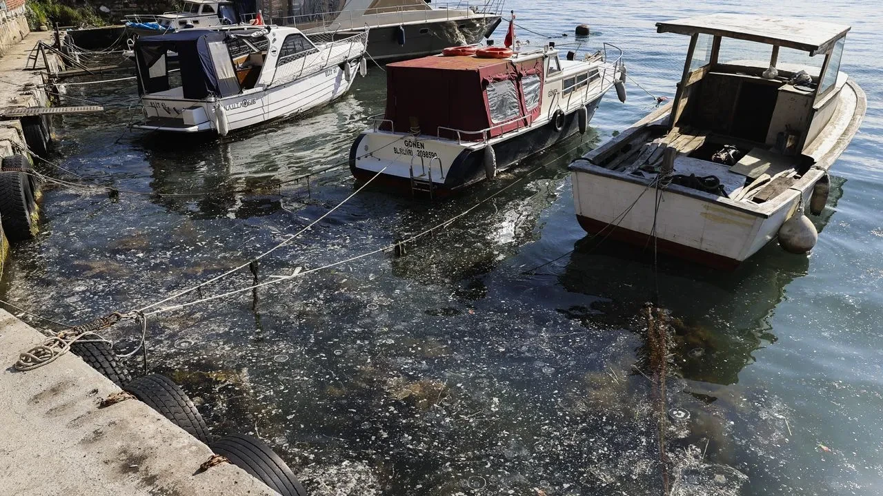 İstanbul Boğazı'nda müsilaj alarmı: Sakinler ve balıkçılar endişeli...