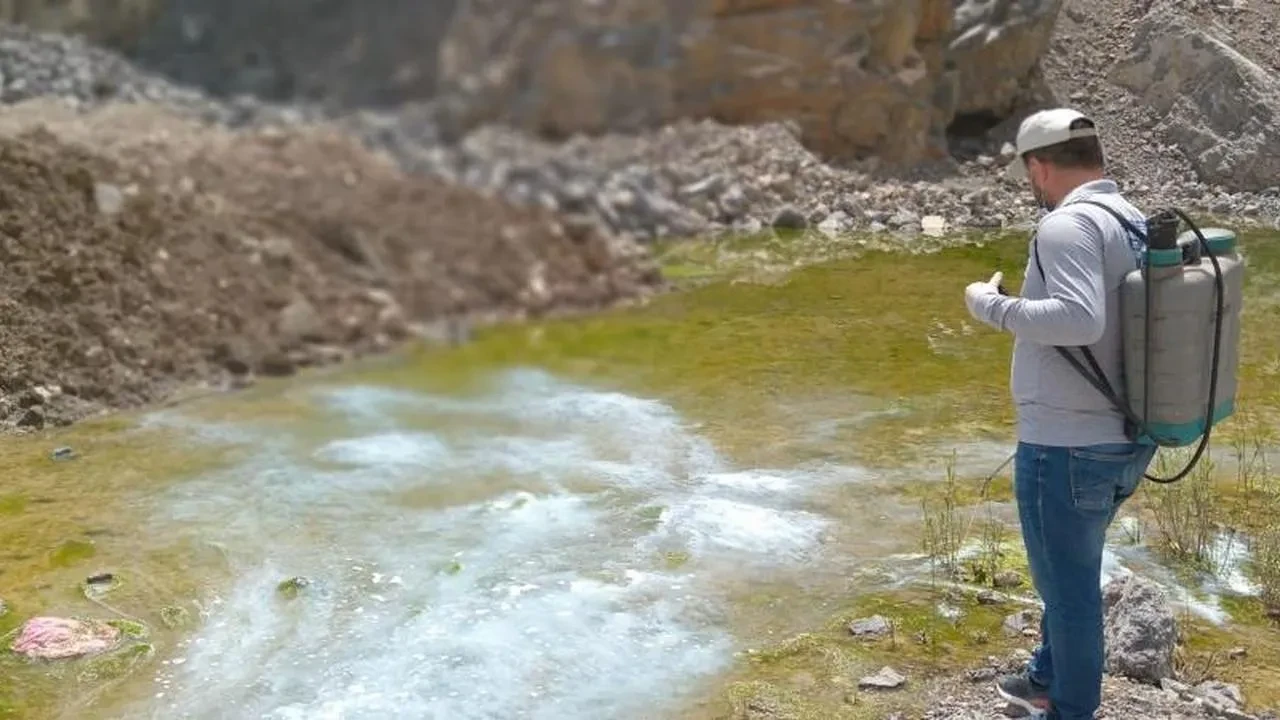 Hakkari'de yaz öncesi larva seferberliği: Hakkari belediyesi harekete geçti