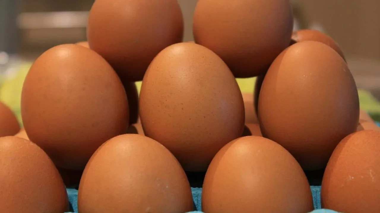 Yumurta ihracatında fon kesintisinin kaldırılması istendi: "modern yasak"