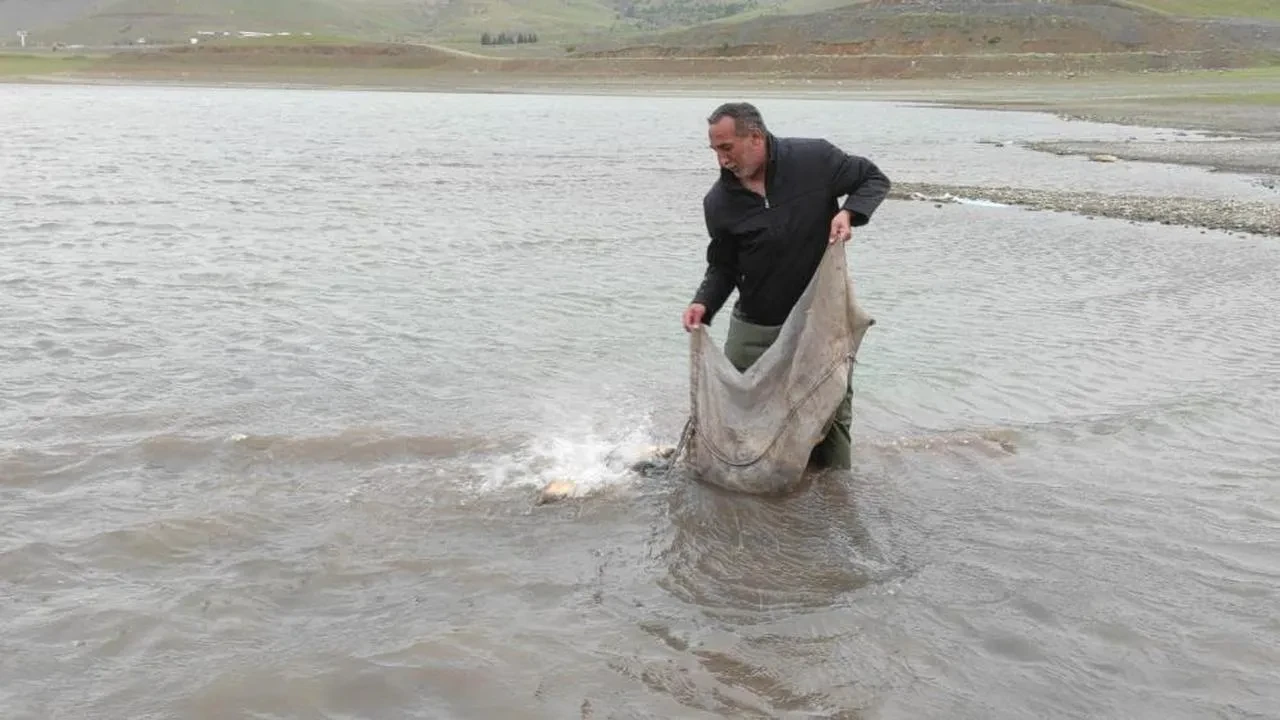 Elazığ'da kaçak avcılığa büyük darbe: 2 bin 500 metre ağ ve 500 kilo canlı balık ele geçirildi