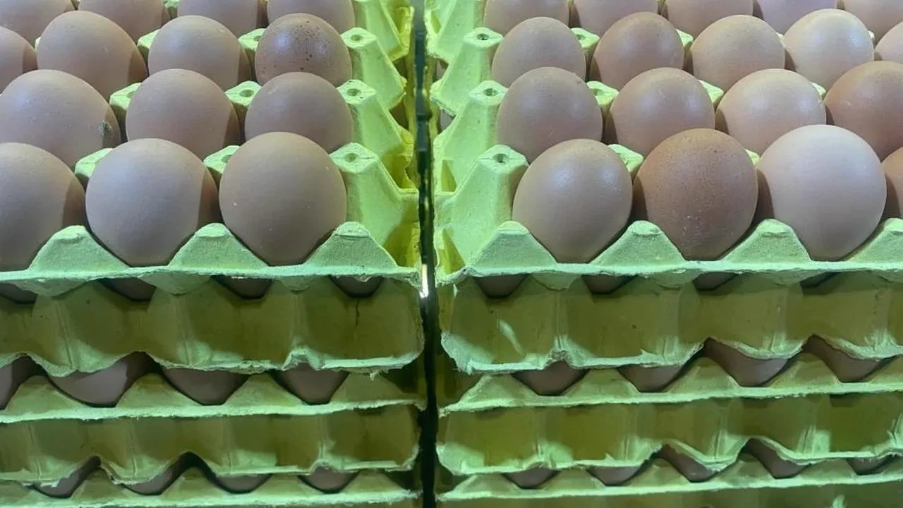 Yumurta fiyatları düşüşe geçti! Talep azalıyor, ihracat geriliyor mu?